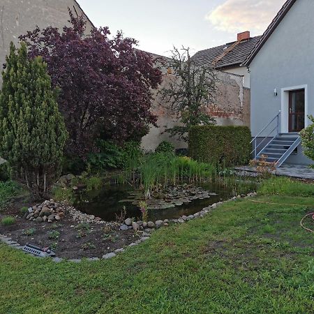 Fewo Rohleder De Mit 130M2 Und Garten Fuer 6Pers Mit 2 Bad Cottbus Exterior photo