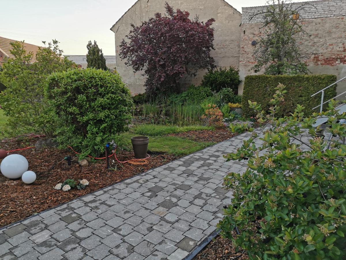 Fewo Rohleder De Mit 130M2 Und Garten Fuer 6Pers Mit 2 Bad Cottbus Exterior photo