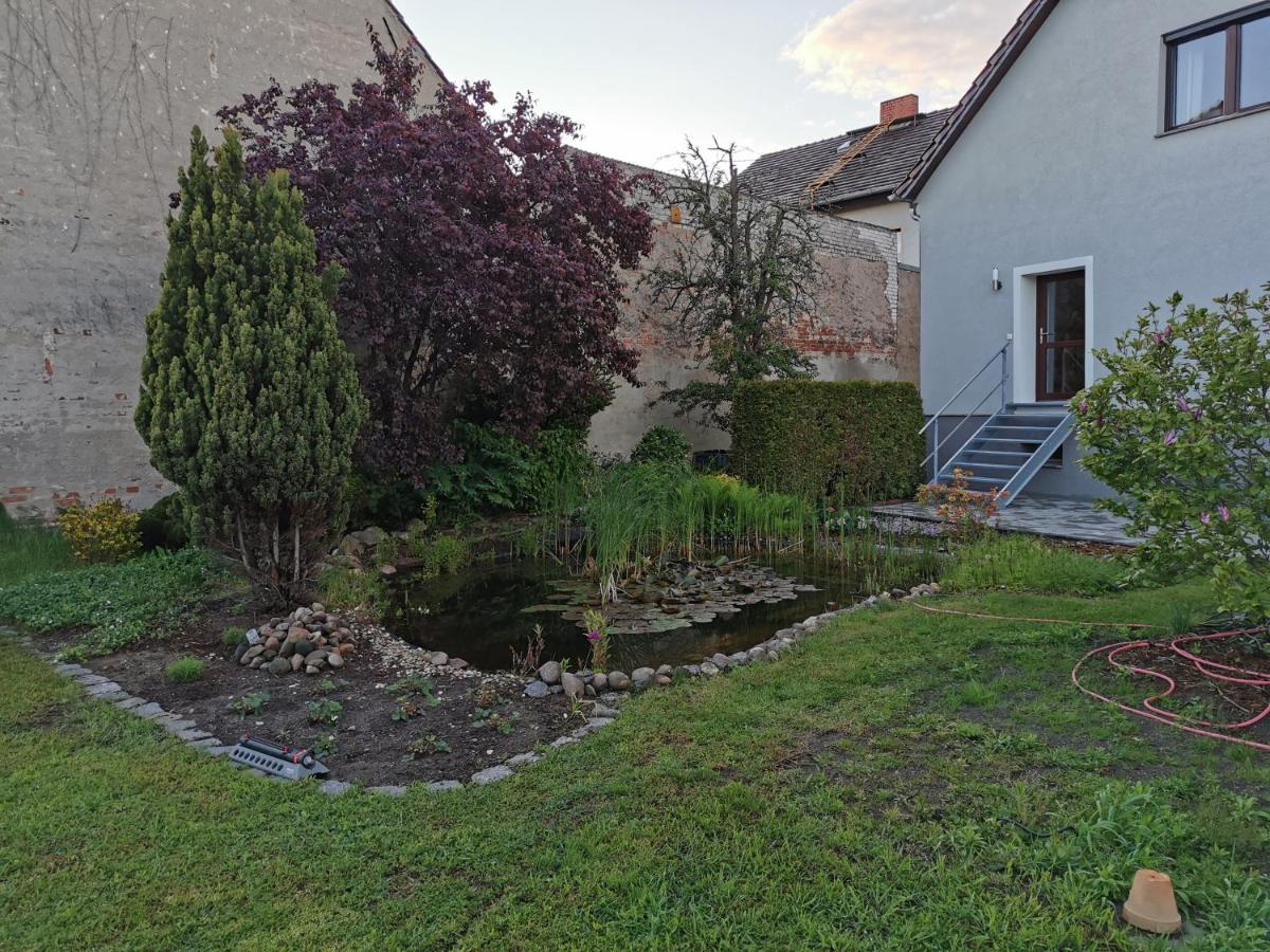 Fewo Rohleder De Mit 130M2 Und Garten Fuer 6Pers Mit 2 Bad Cottbus Exterior photo