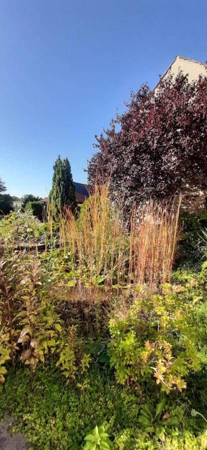Fewo Rohleder De Mit 130M2 Und Garten Fuer 6Pers Mit 2 Bad Cottbus Exterior photo